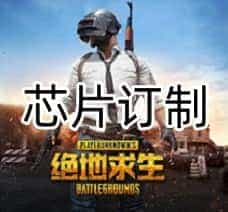 三角洲行动芯片独家订制